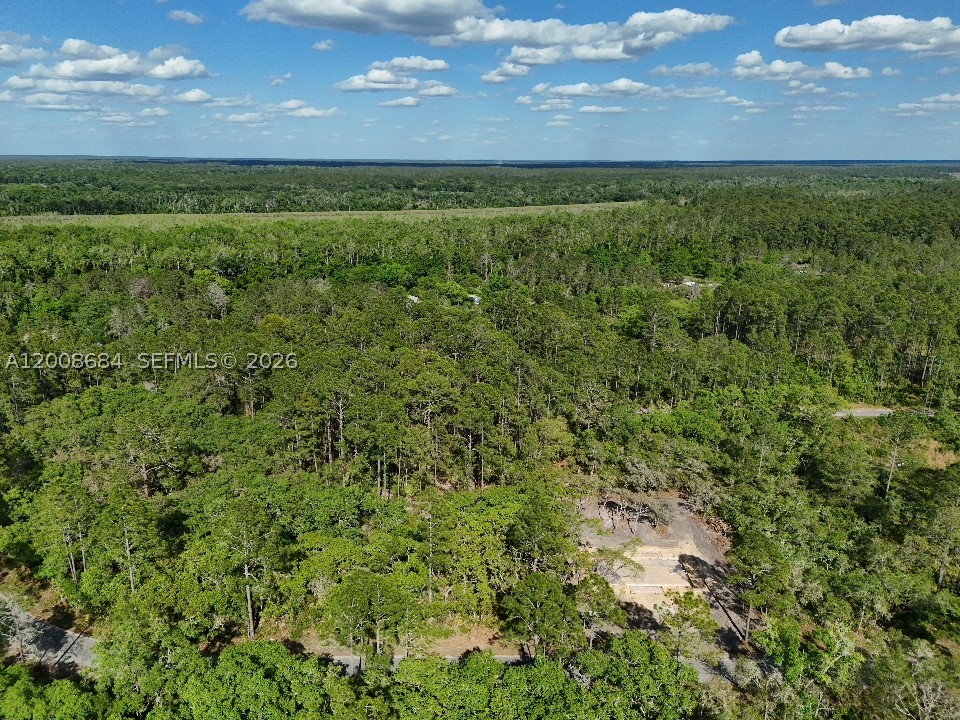 Fisher Trace Dr Other, FL 32179