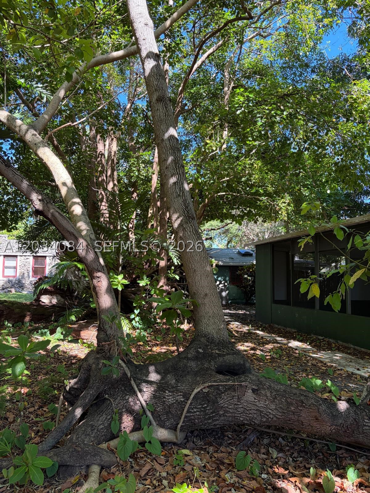 8238 NE 9th Ave Miami, FL 33138
