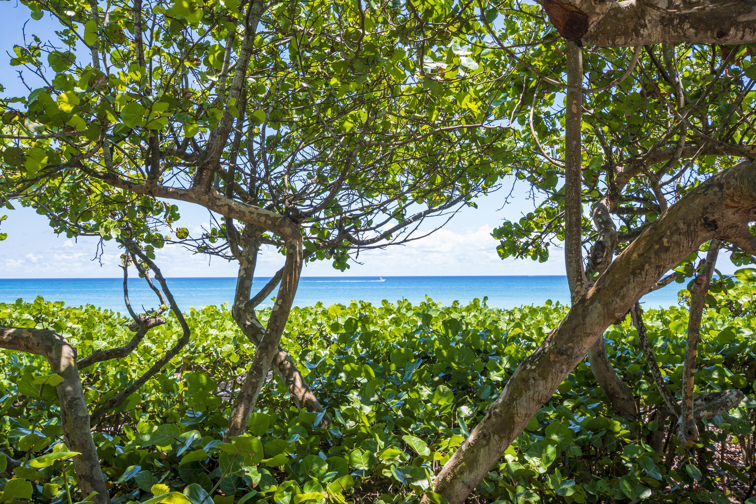 425 S Beach #2o Tequesta, FL 33469