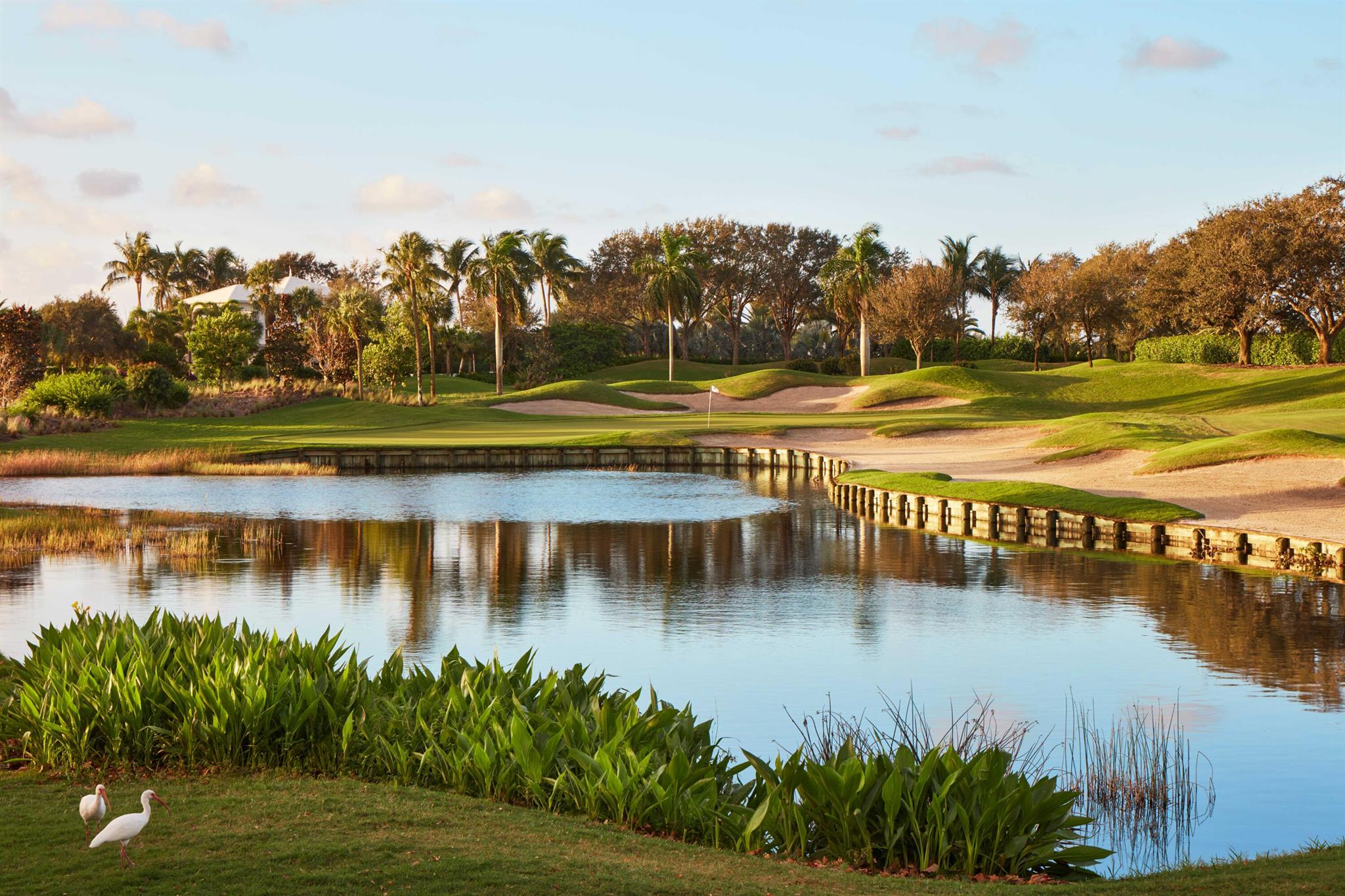 185 Island Dr Jupiter, FL 33477