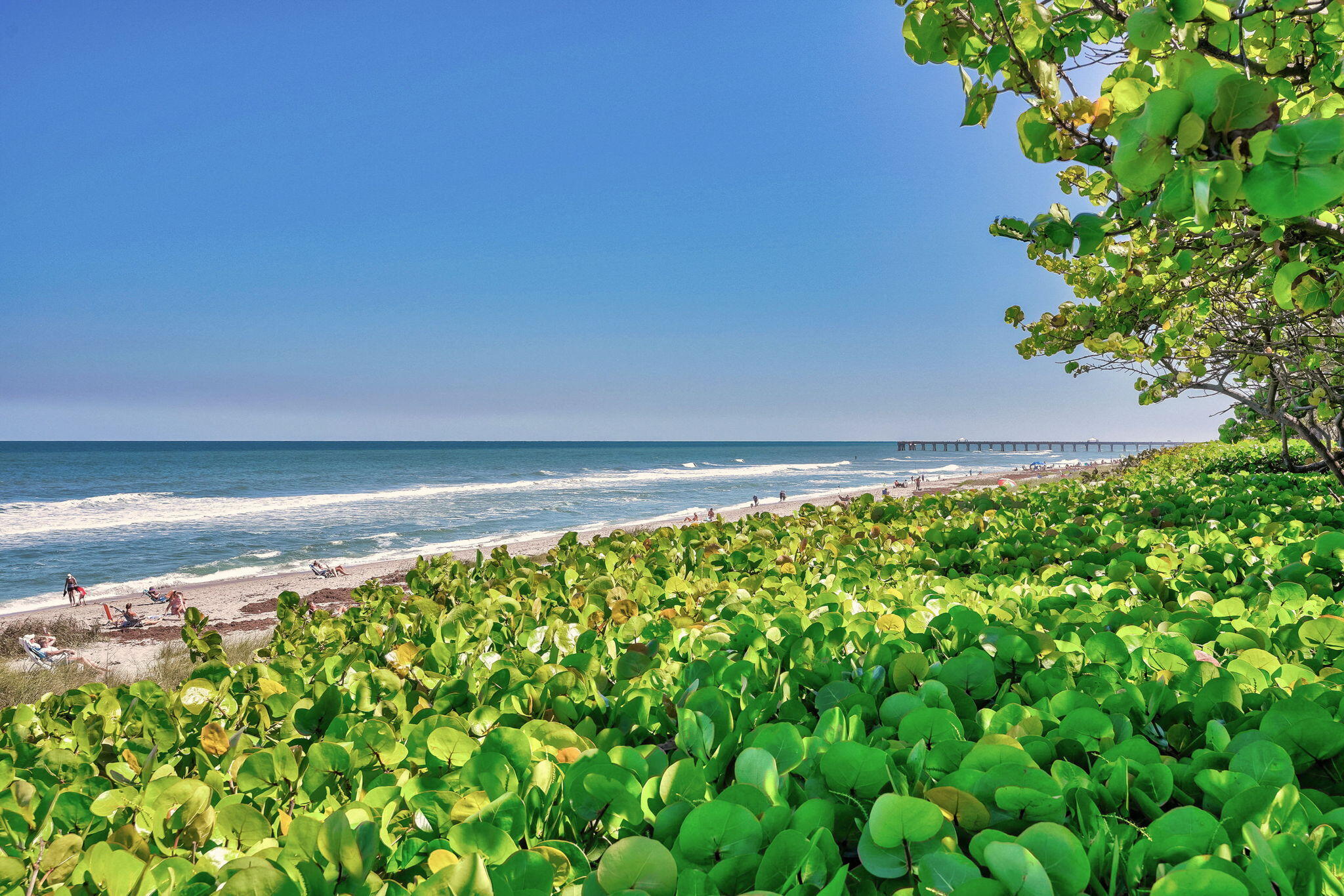 3069 Mainsail Jupiter, FL 33477