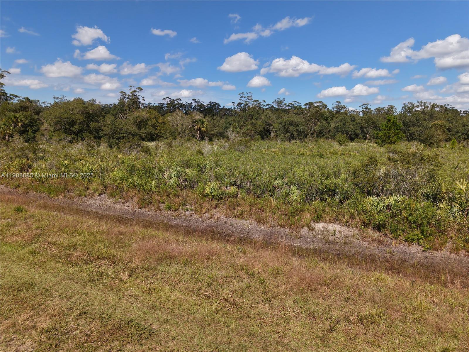 15527 NW 252nd Okeechobee, FL 34972