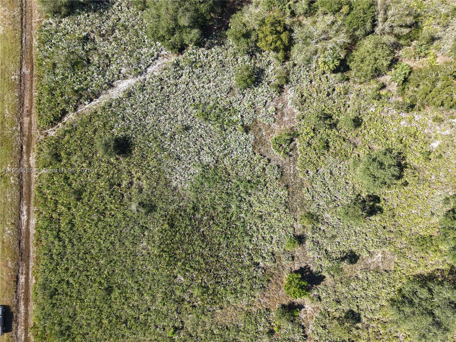 15527 NW 252nd Okeechobee, FL 34972