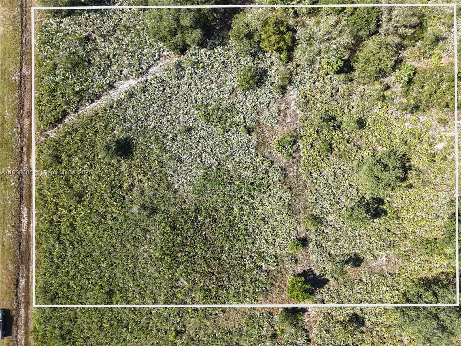 15527 NW 252nd Okeechobee, FL 34972