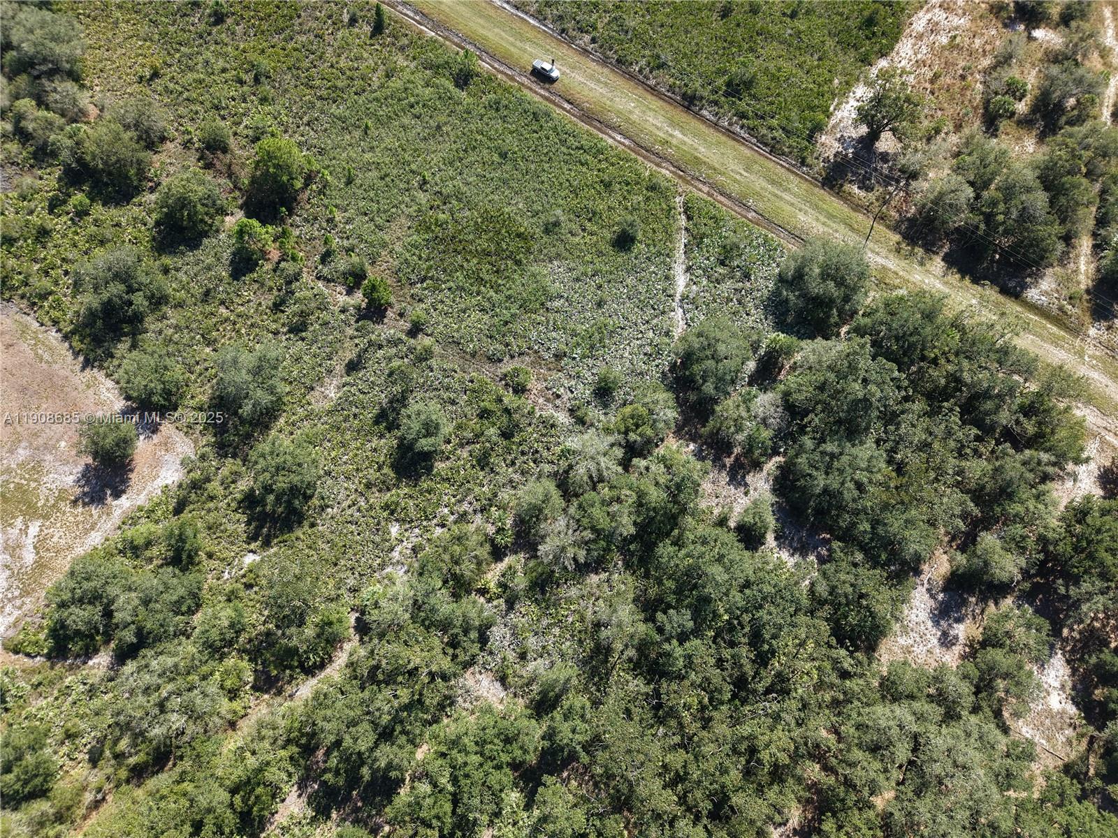 15527 NW 252nd Okeechobee, FL 34972