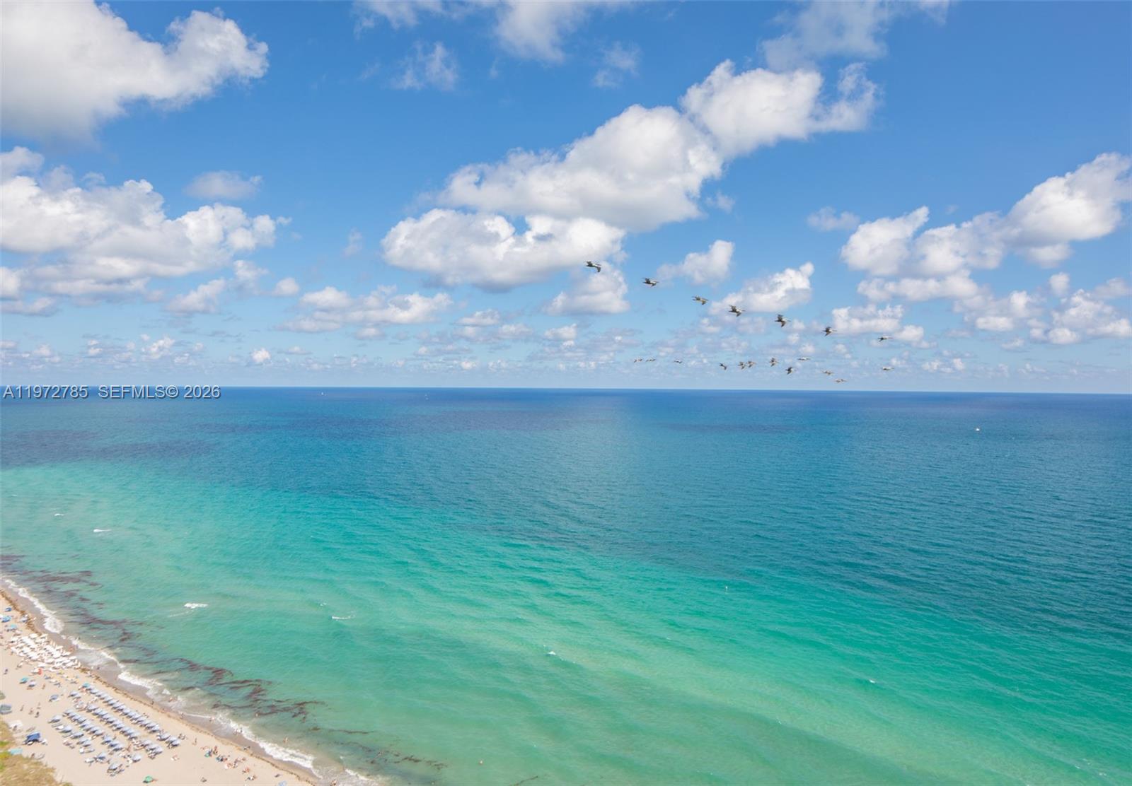 image Beach Club 240