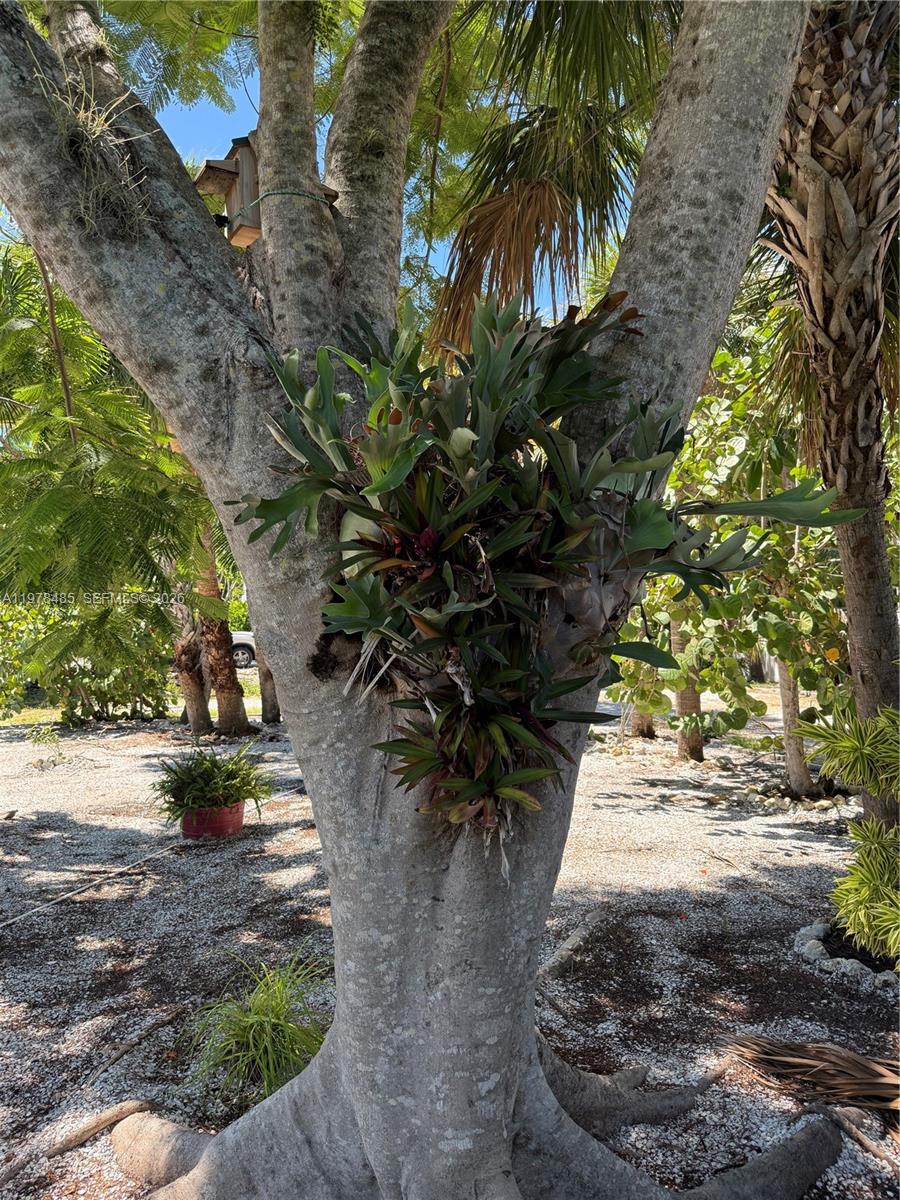 1942 Roseate Ln Other, FL 33957