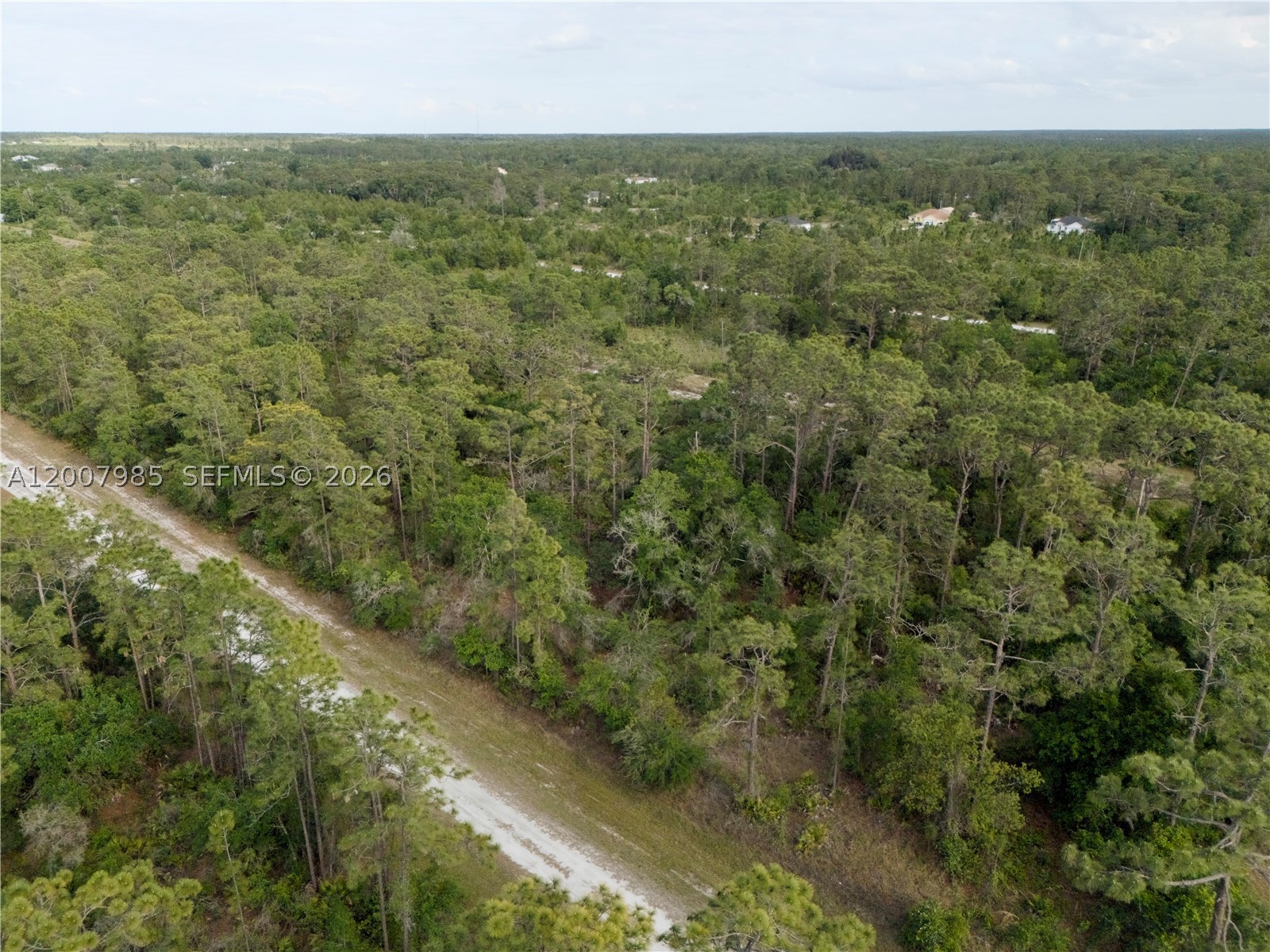 Hibiscus Dr Other, FL 33855