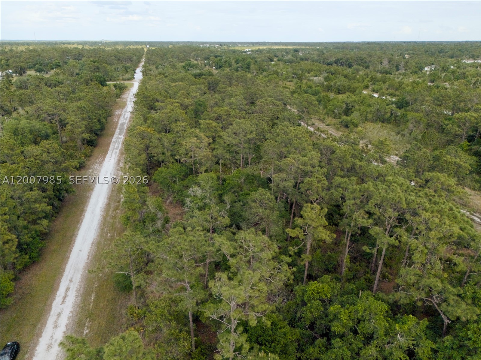 Hibiscus Dr Other, FL 33855