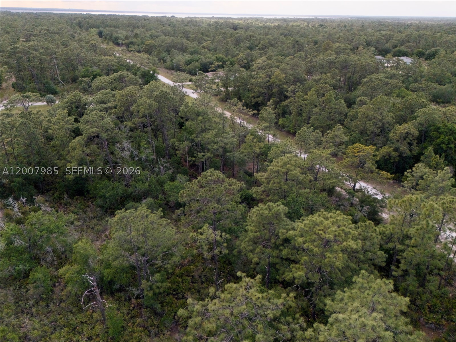 Hibiscus Dr Other, FL 33855
