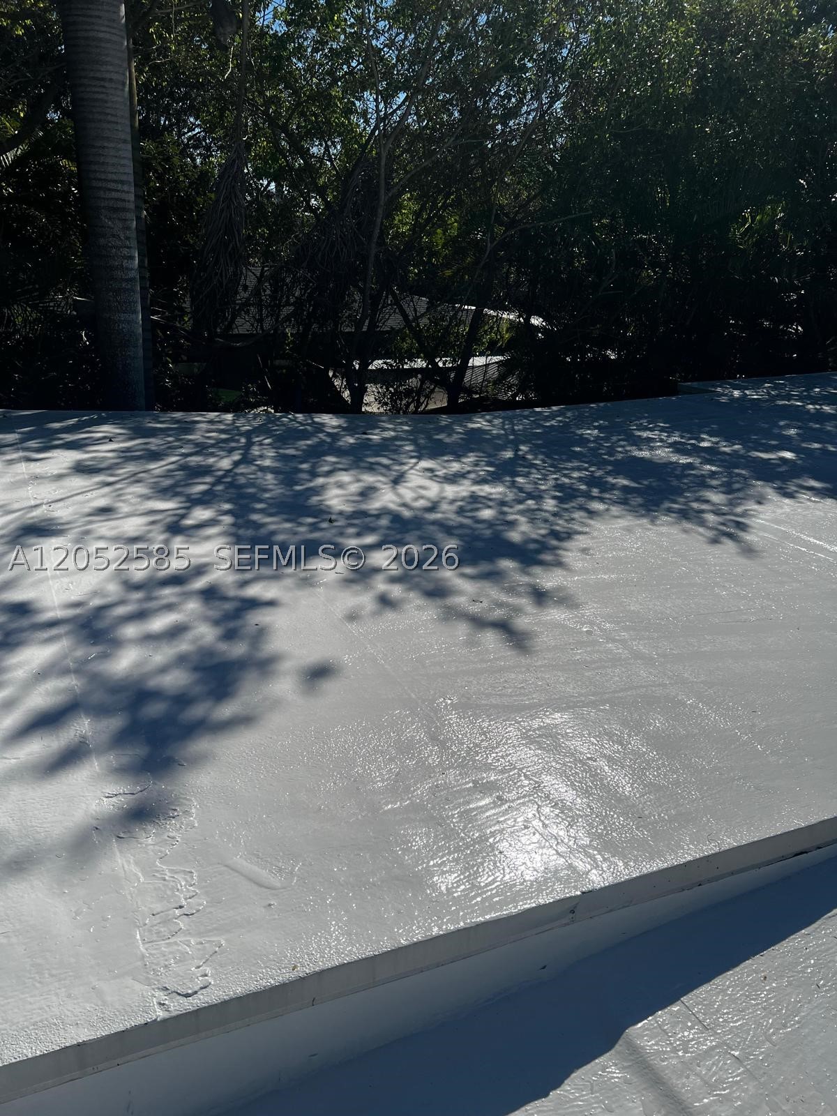 7902 SW 67th Ave South Miami, FL 33143