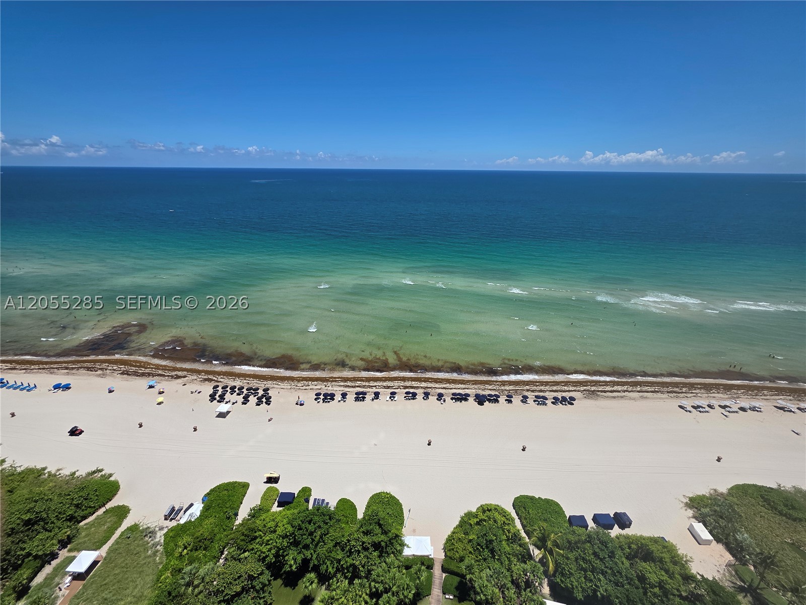 image Jade Ocean38