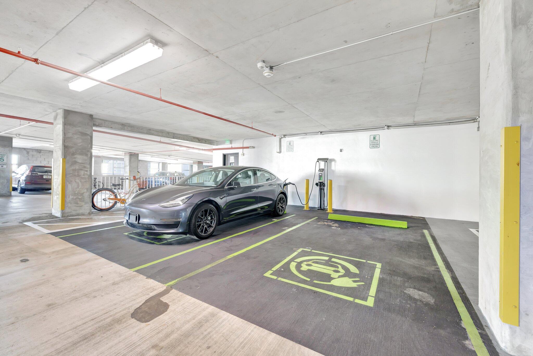 315 NE 3rd #1505 Fort Lauderdale, FL 33301