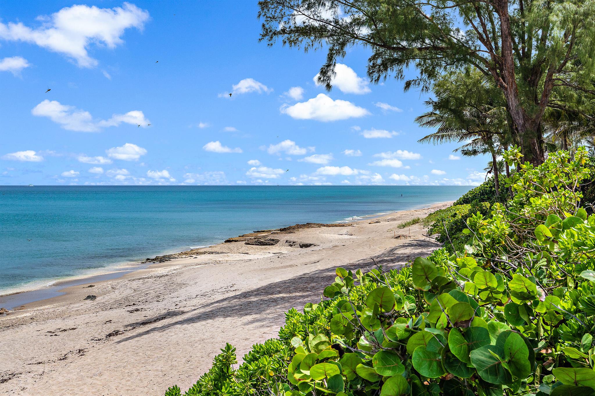 774 Seaview Dr Juno Beach, FL 33408