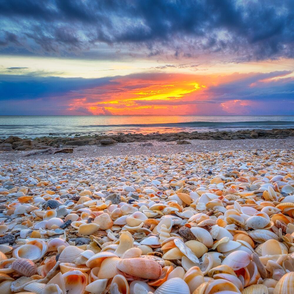 774 Seaview Dr Juno Beach, FL 33408