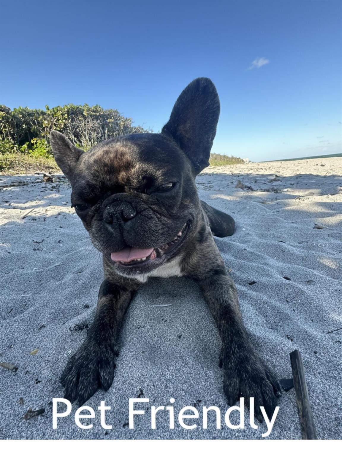 774 Seaview Dr Juno Beach, FL 33408