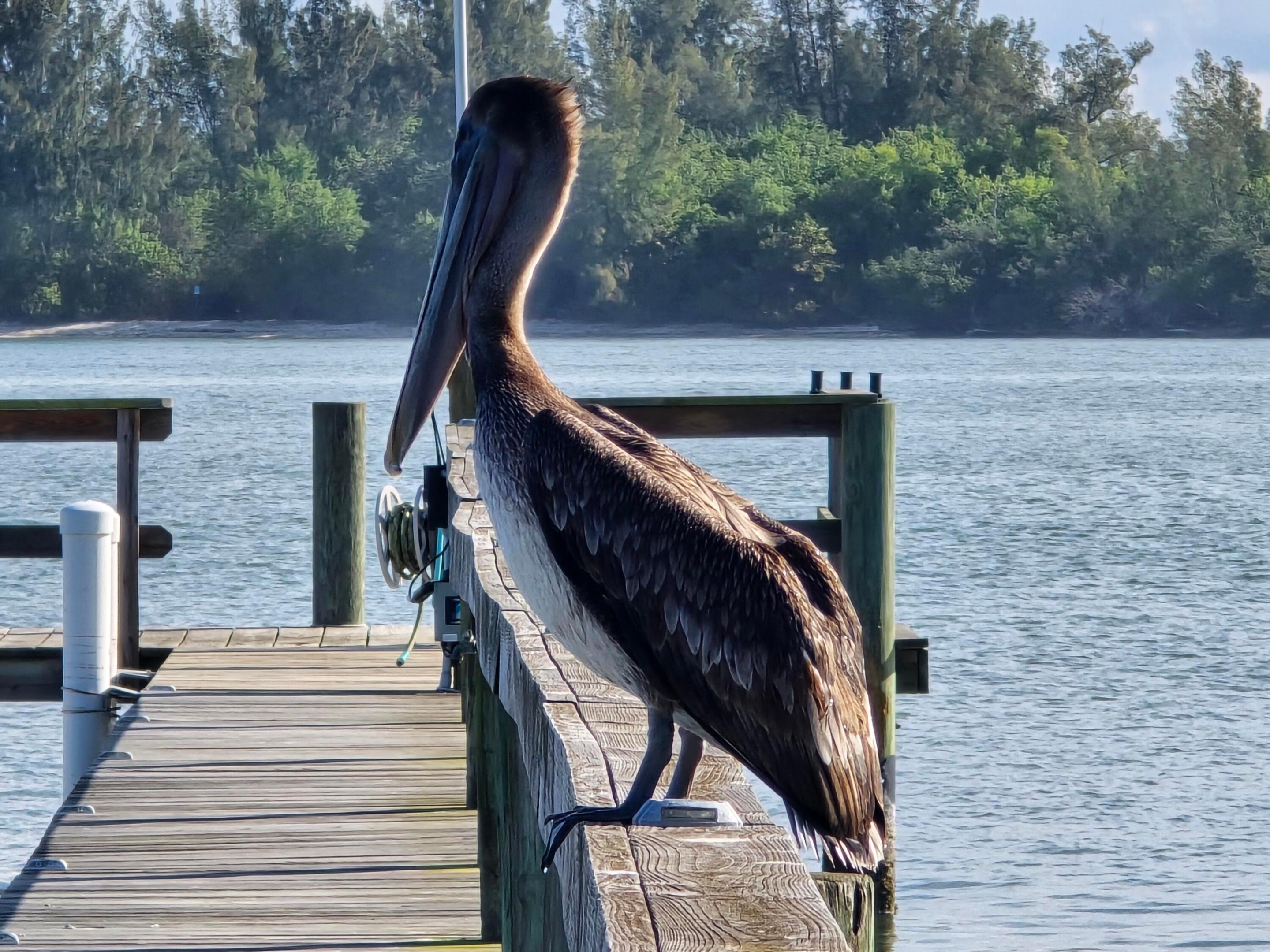 2515 N Indian Riv Fort Pierce, FL 34946