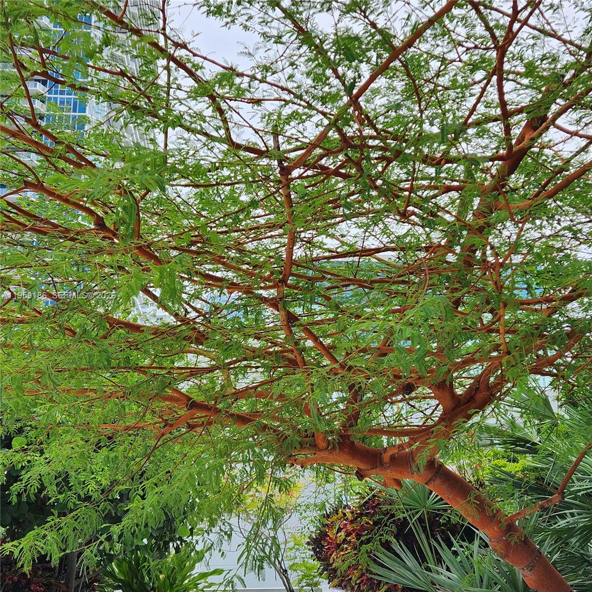 image The Plaza on Brickell East40