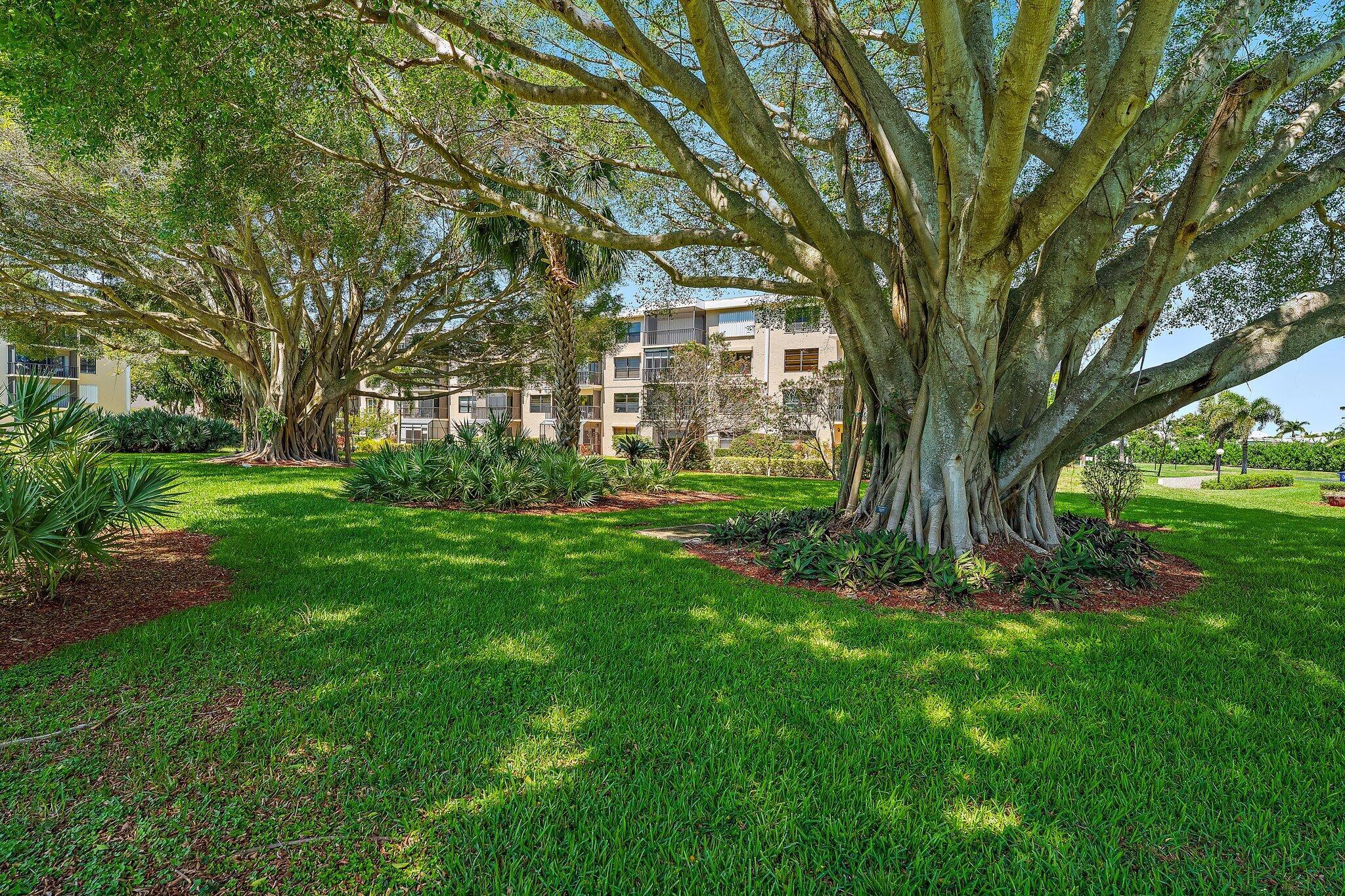 300 N Highway A1a #203c Jupiter, FL 33477