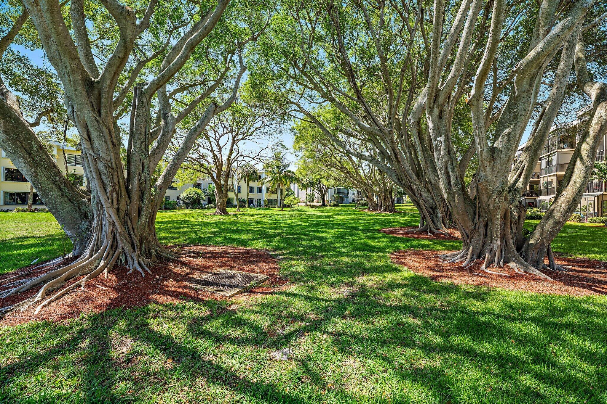 300 N Highway A1a #203c Jupiter, FL 33477