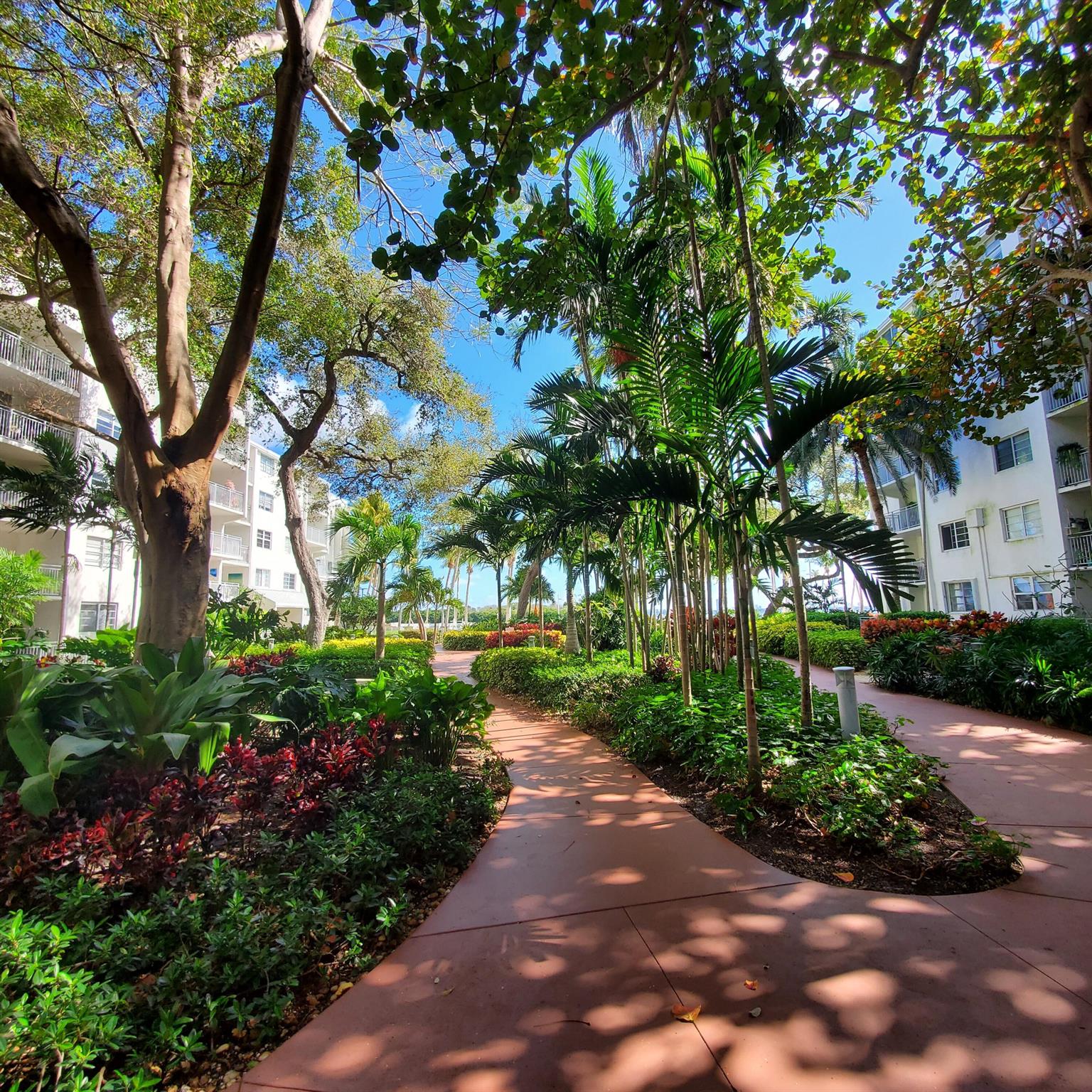 777 NE 62nd St #C512 Miami, FL 33138