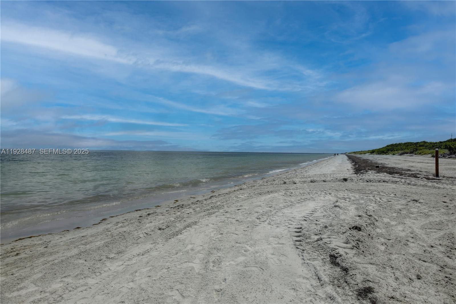 image Towers of Key Biscayne30