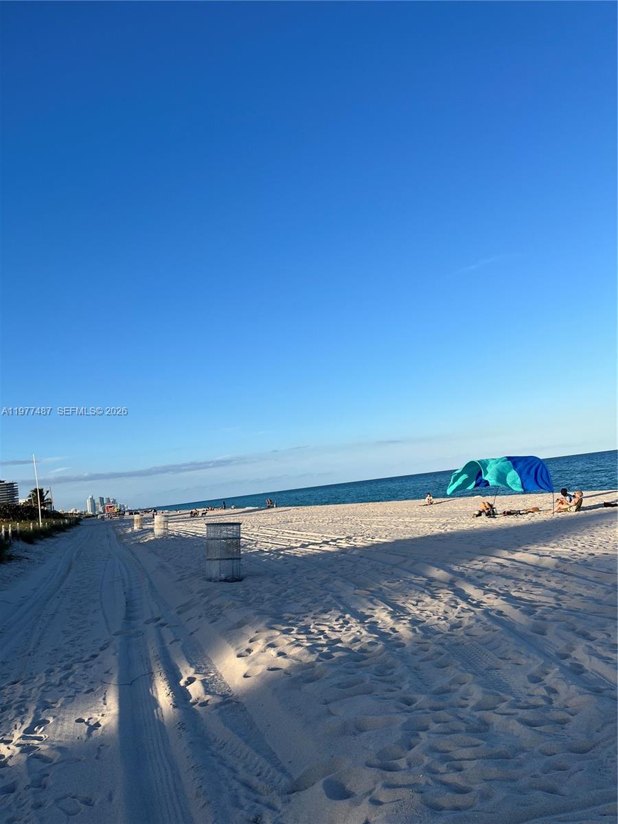 7800 Collins Ave #302 Miami Beach, FL 33141