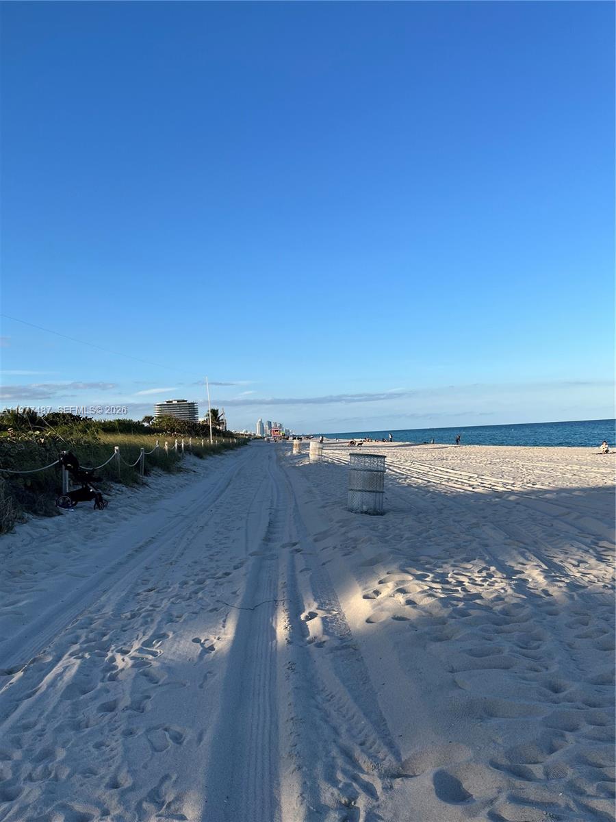 7800 Collins Ave #302 Miami Beach, FL 33141