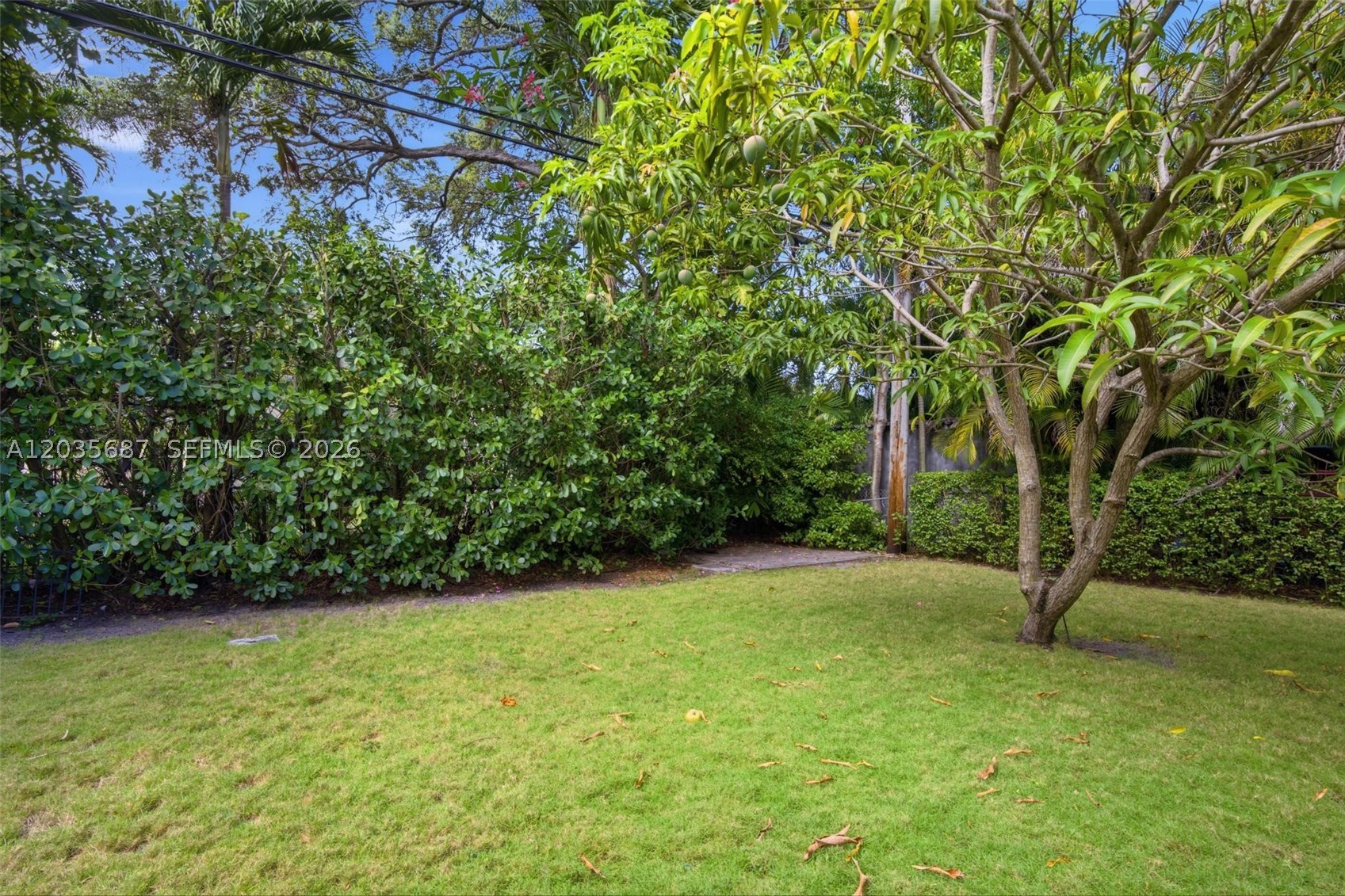 2355 Overbrook St Coconut Grove, FL 33133