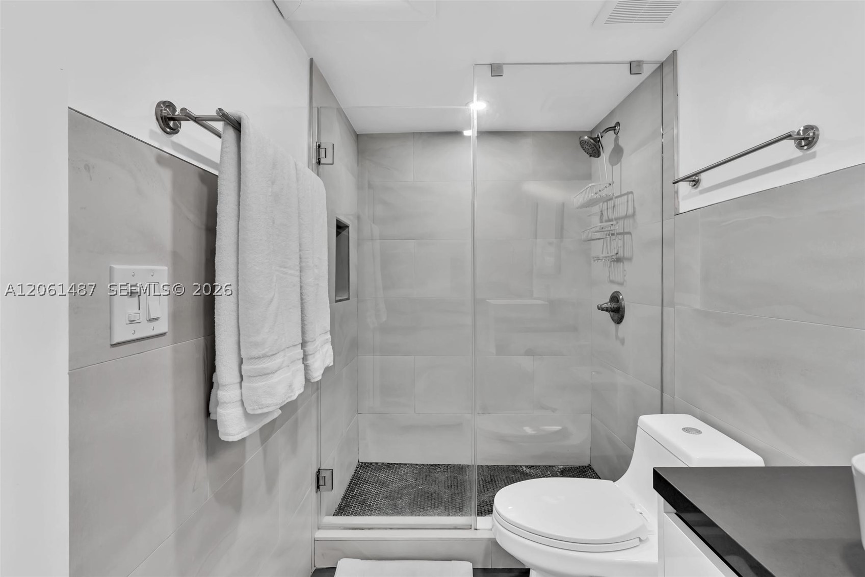 image Roney Palace9