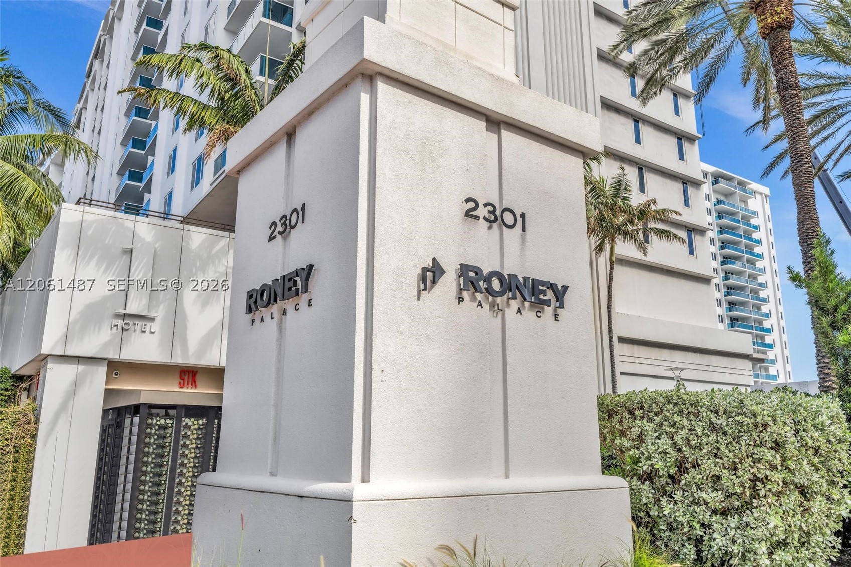 image Roney Palace18