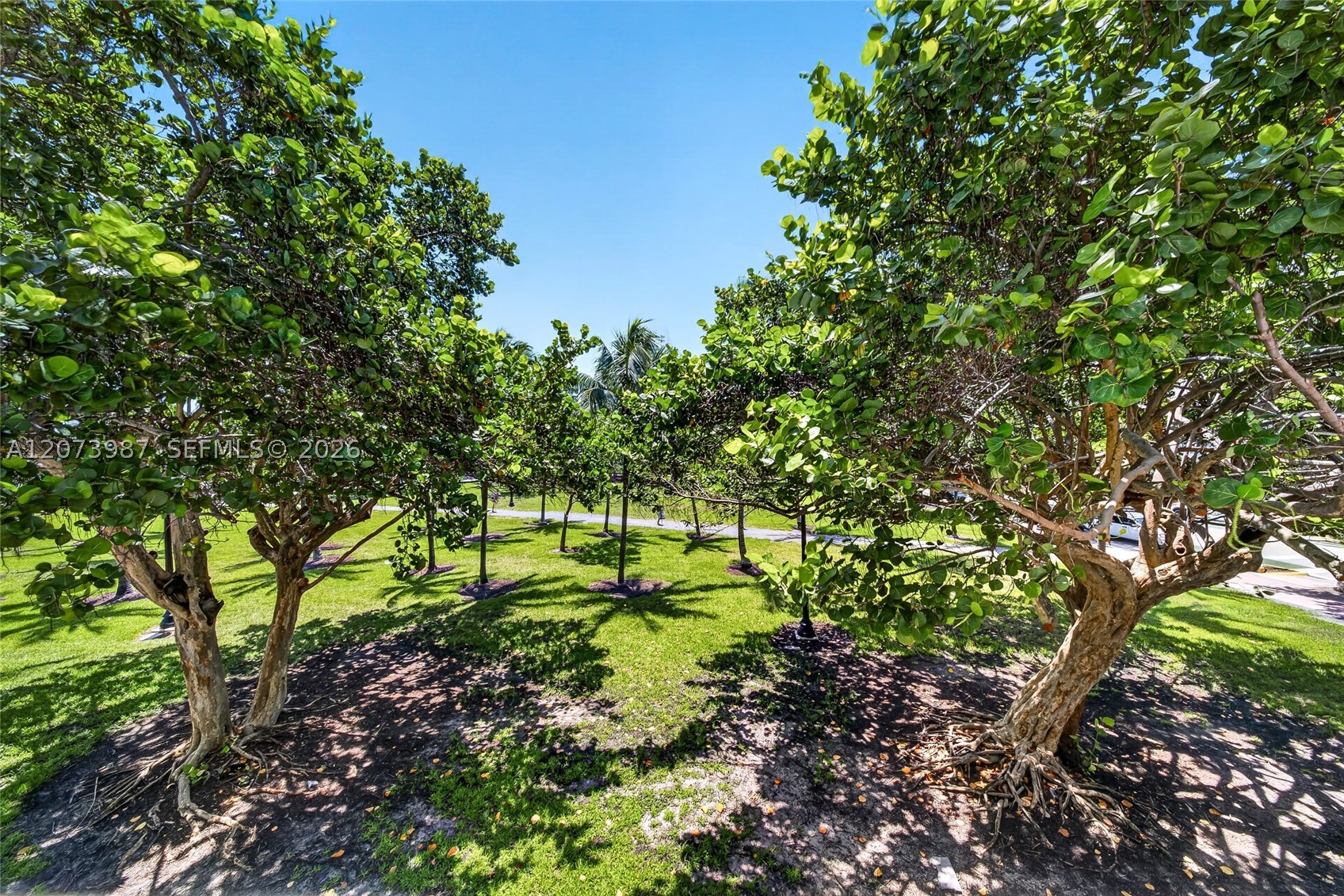 301 Ocean Dr #201 Miami Beach, FL 33139