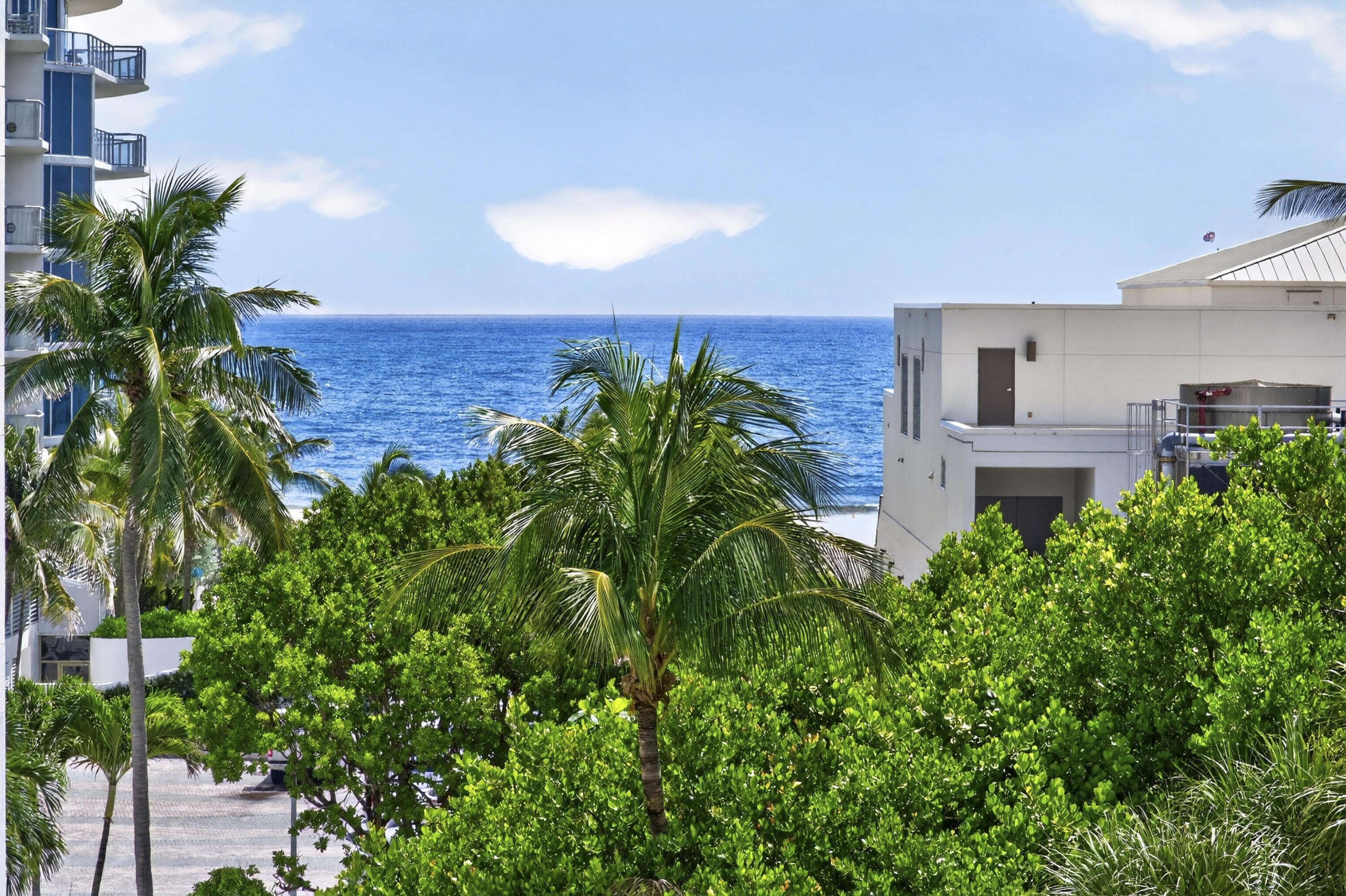 3000 Holiday Dr #502 Fort Lauderdale, FL 33316