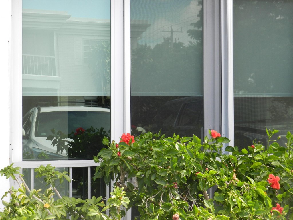 6307 Bay Clb Dr #2 Fort Lauderdale, FL 33308