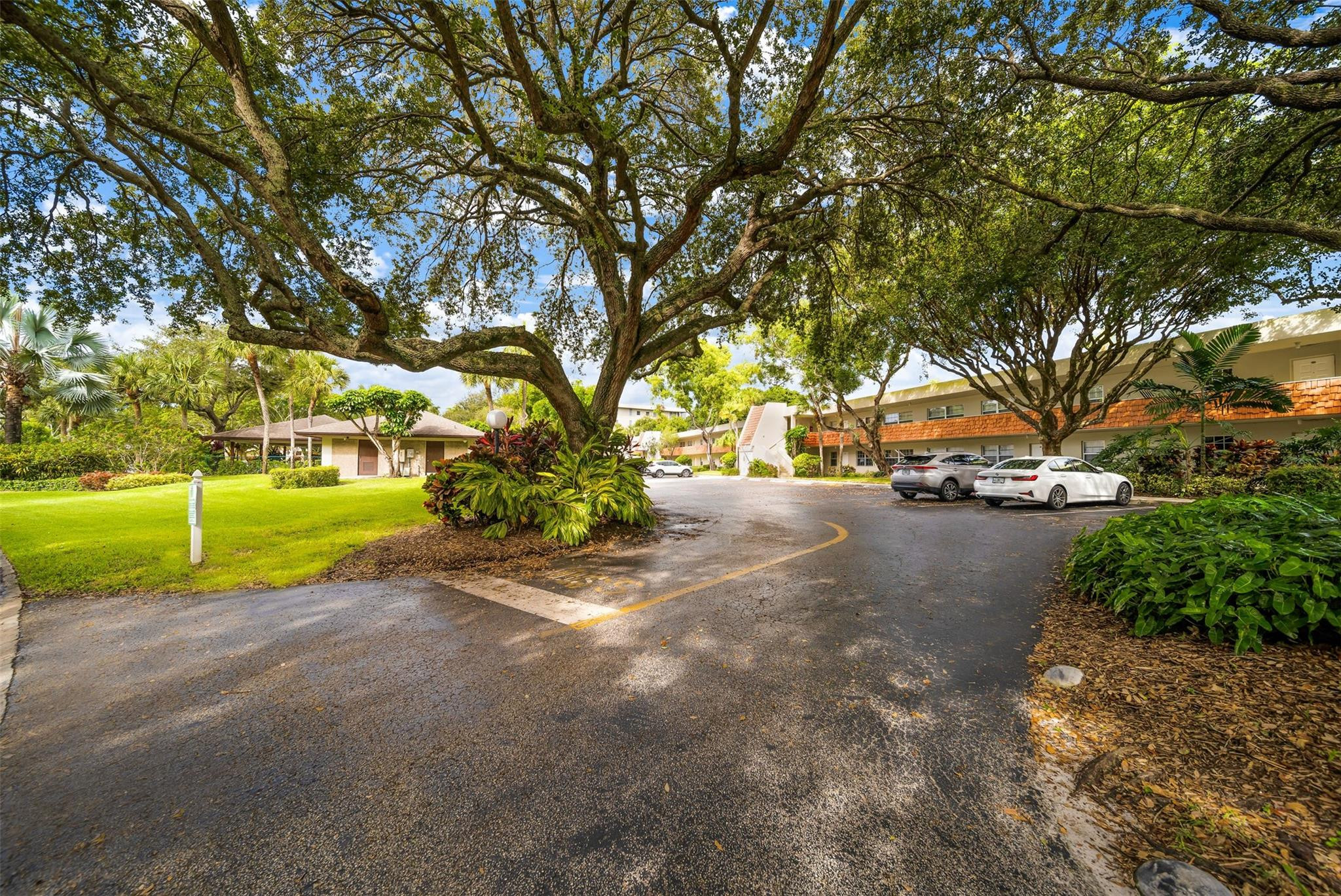 801 Cypress #107c