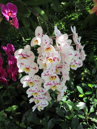 2018 S Federal Hwy #A301 Boynton Beach, FL 33435