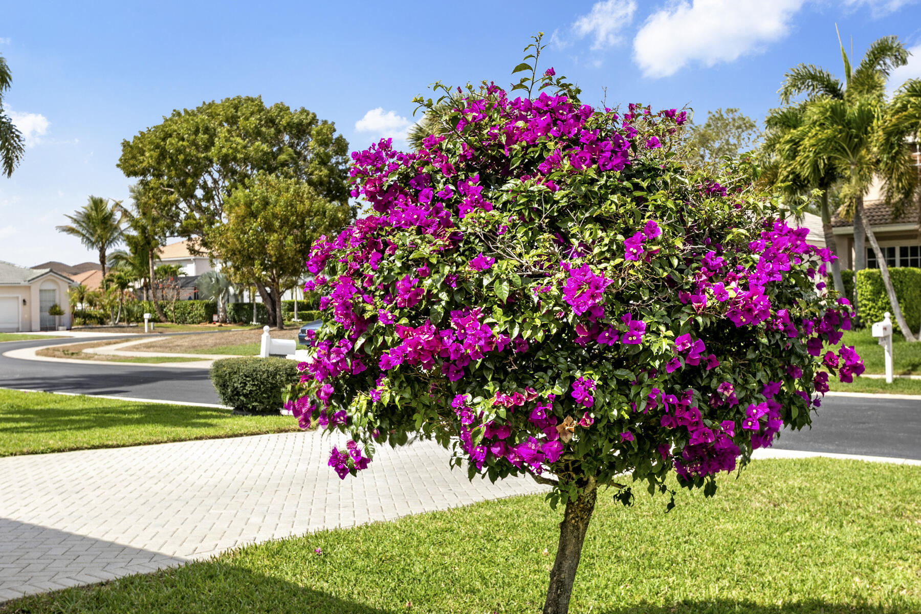 10748 Hidden Bnd Wellington, FL 33414