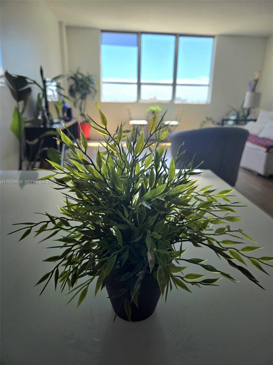 1500 Bay Rd #1178S Miami Beach, FL 33139