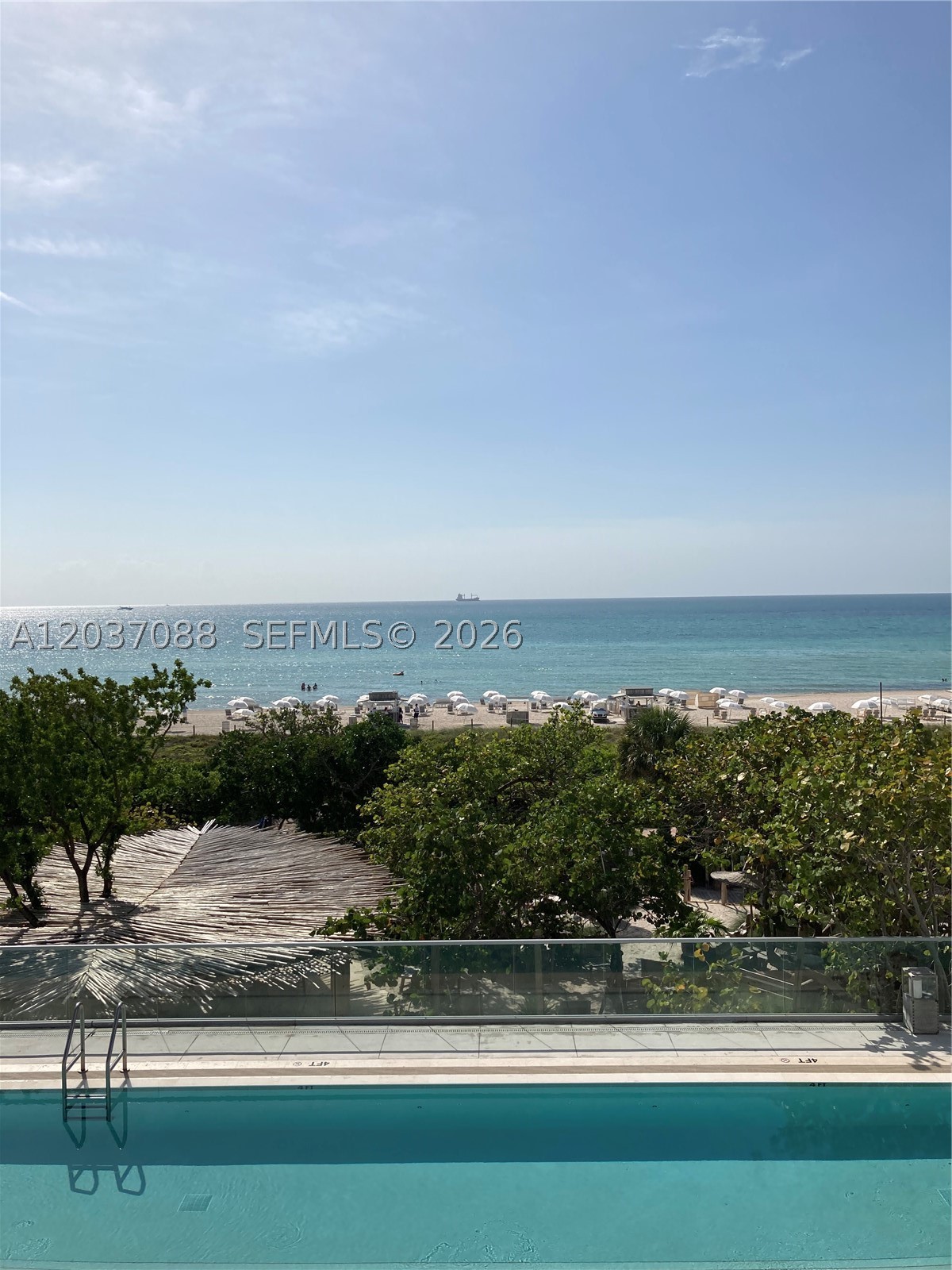image Roney Palace17