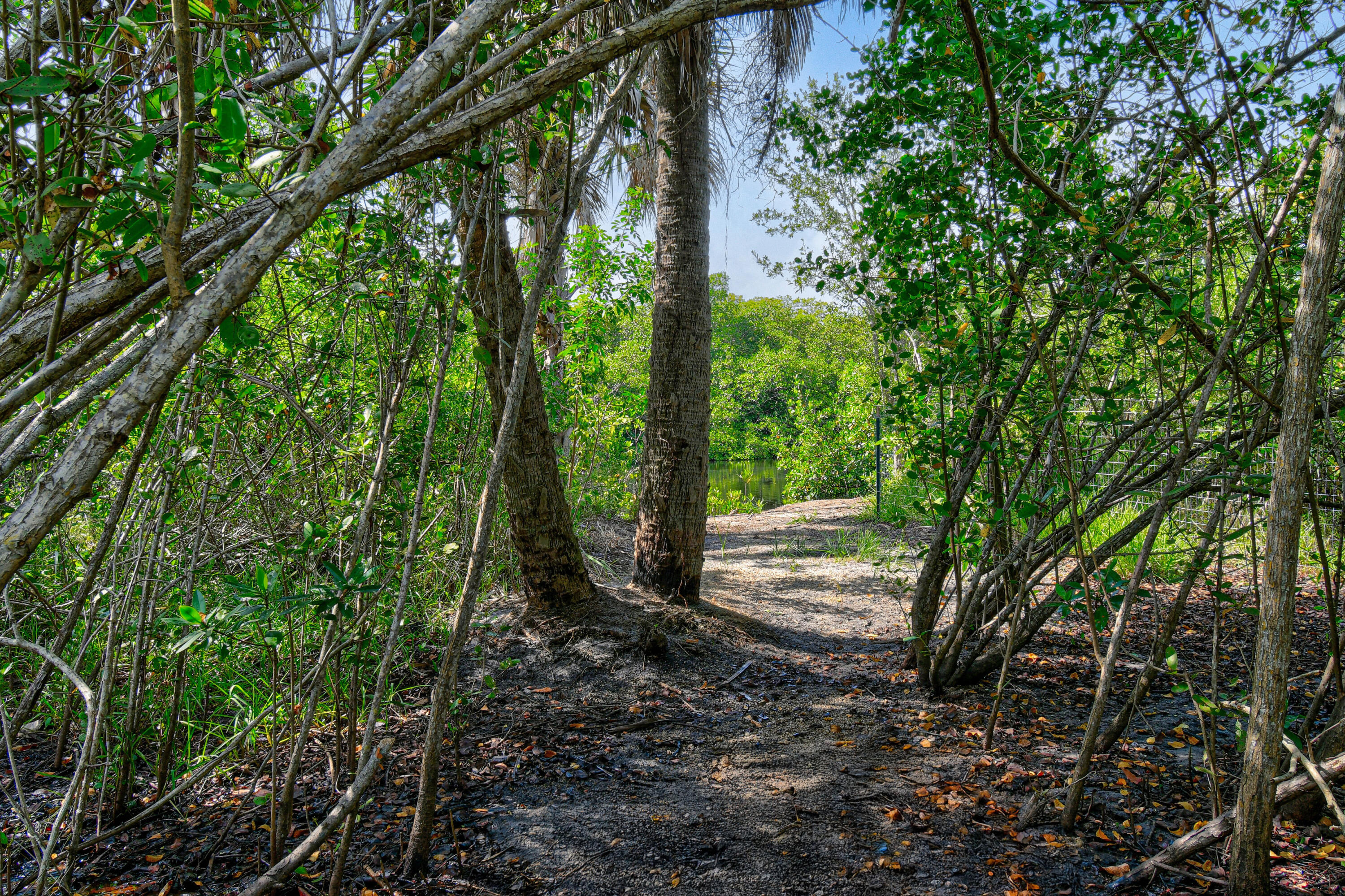 10561 SE Le Parc Jupiter, FL 33469