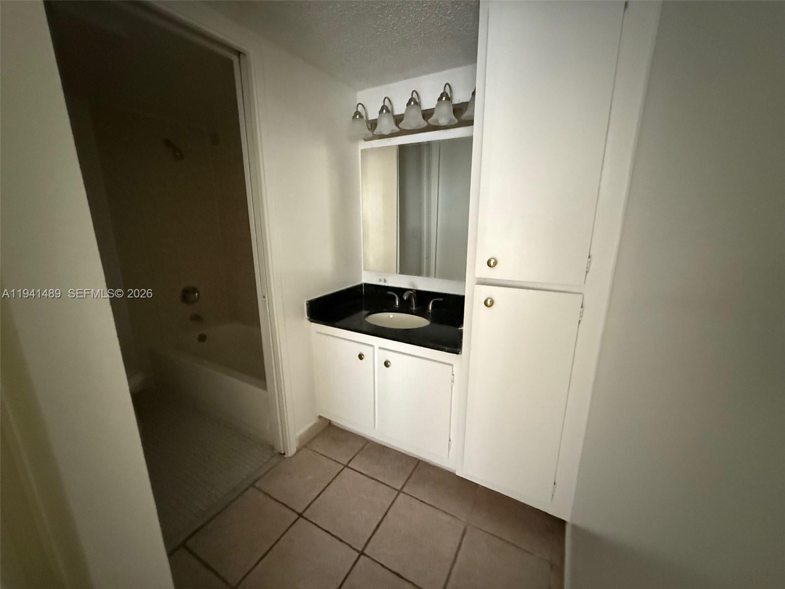 16919 N Bay Rd #314 Sunny Isles Beach, FL 33160