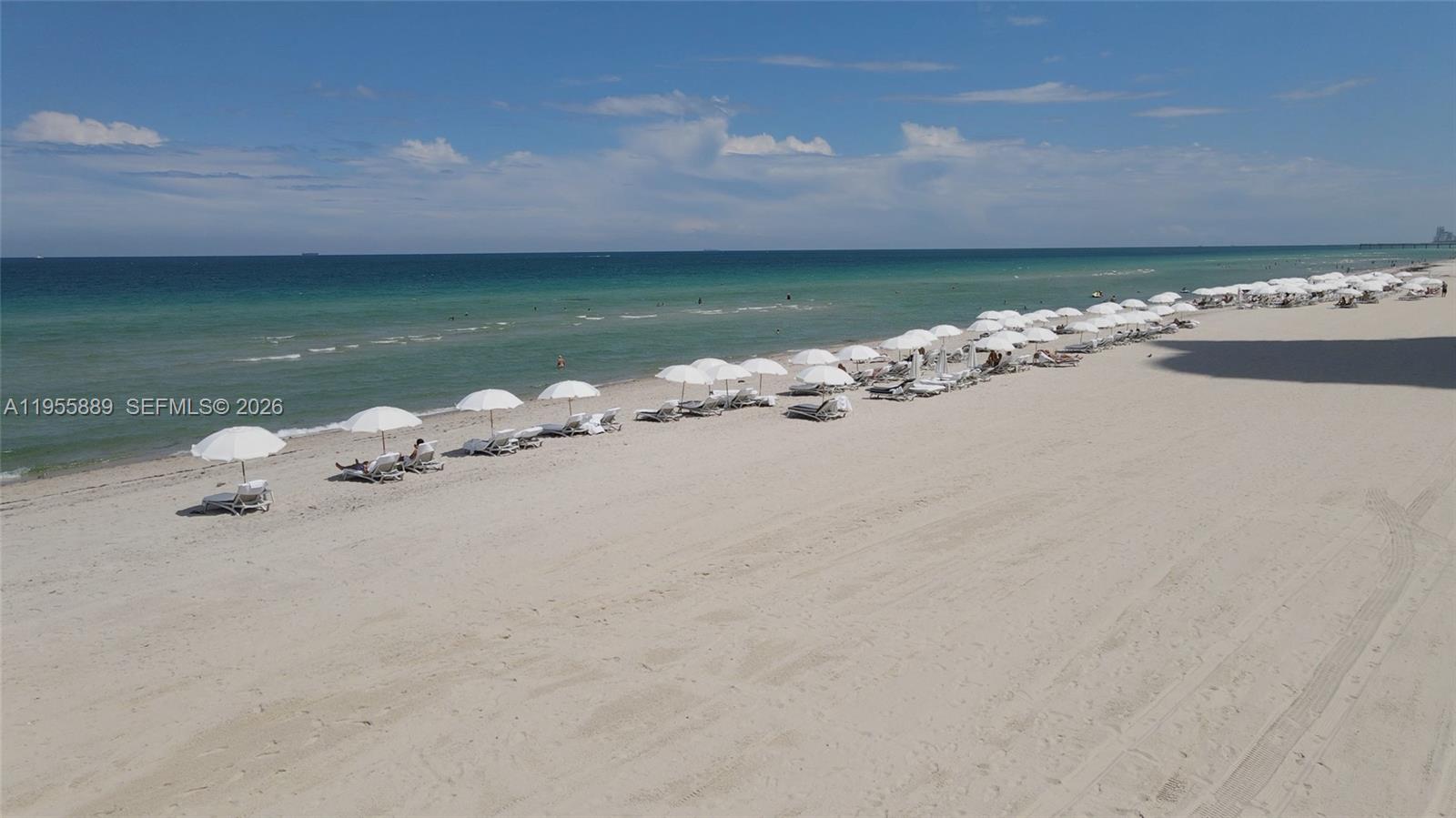 image Trump Royale47