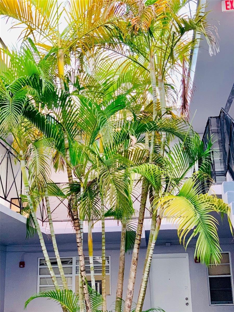 Undisclosed Address North Miami Beach, FL 33162