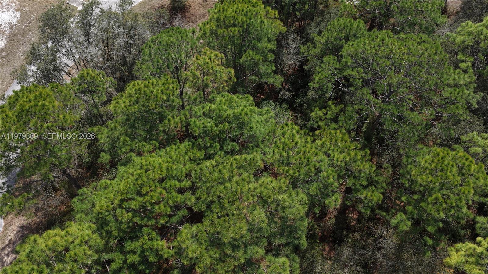 500 Caribbean Pl Other, FL 34759