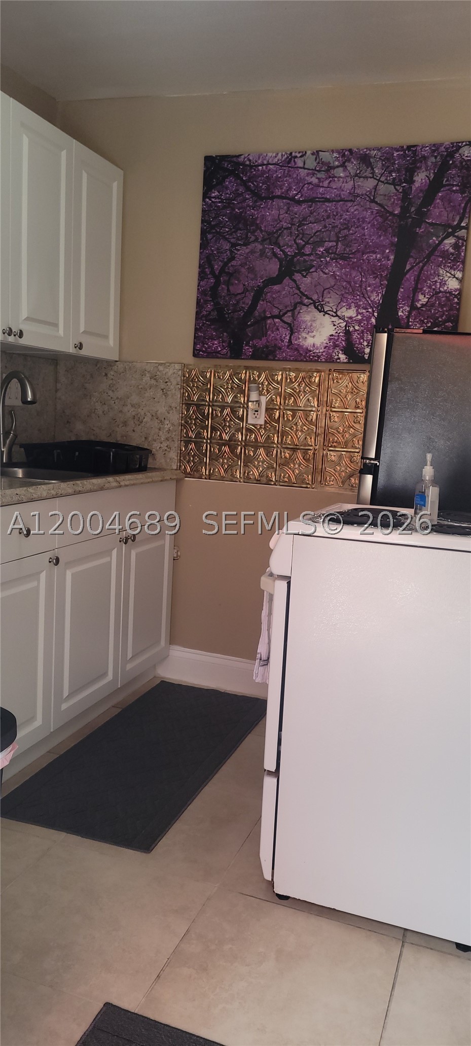 Undisclosed Address South Miami, FL 33143