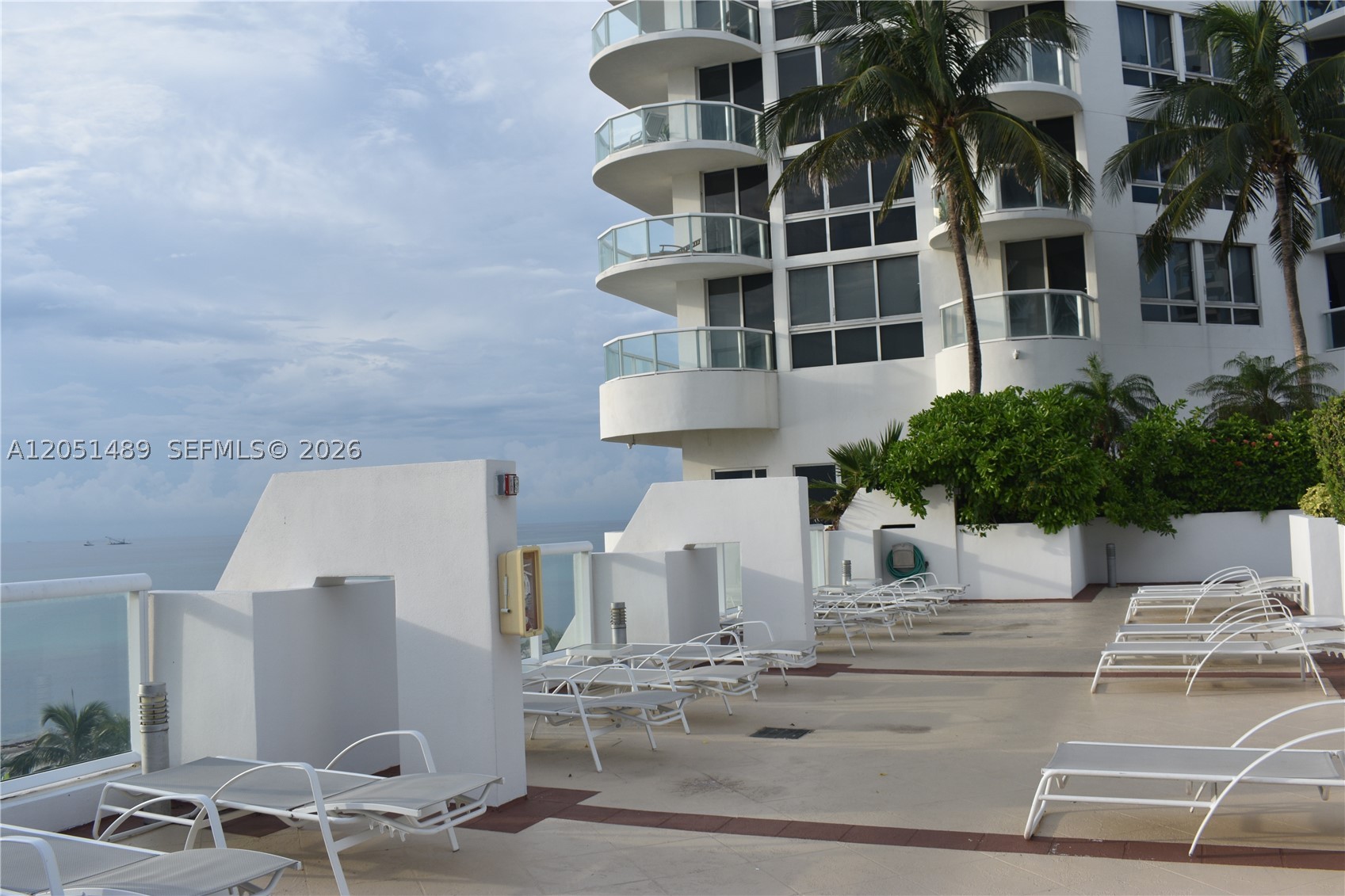 image Akoya61