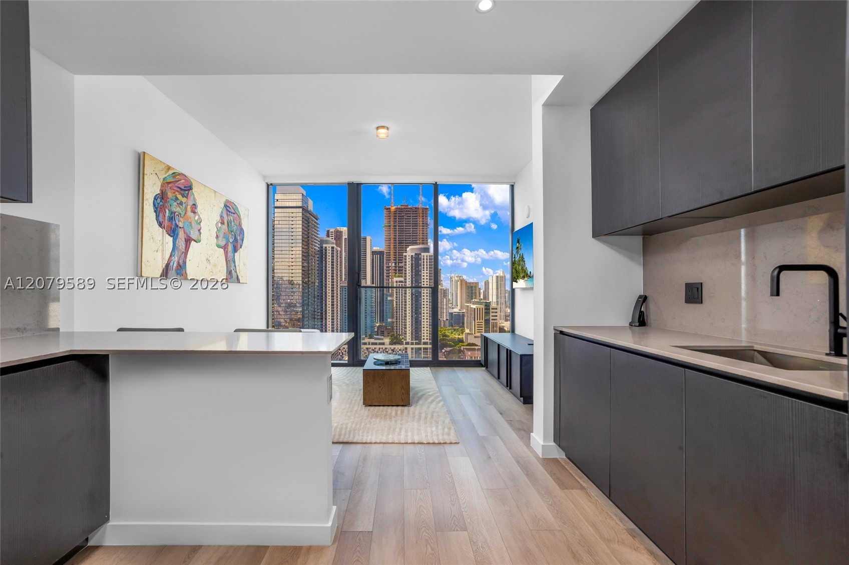20 NE 11th St #3009 Miami, FL 33132