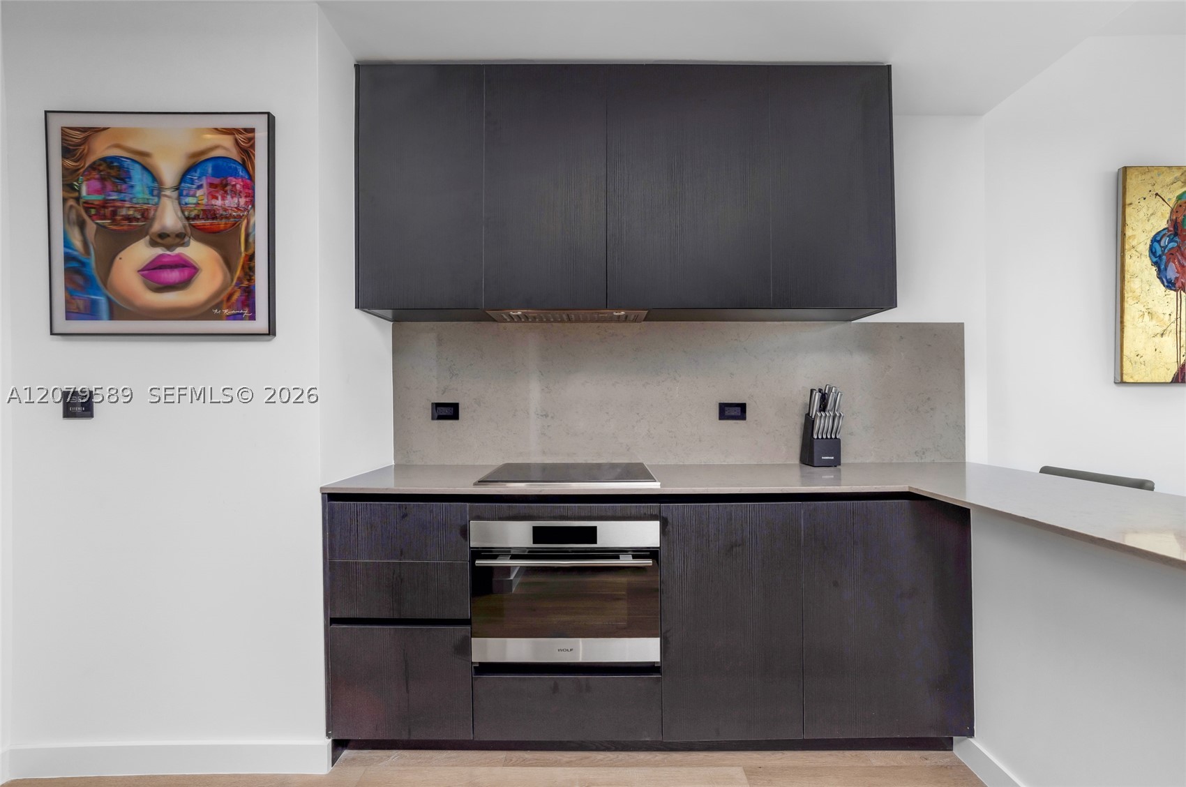 20 NE 11th St #3009 Miami, FL 33132