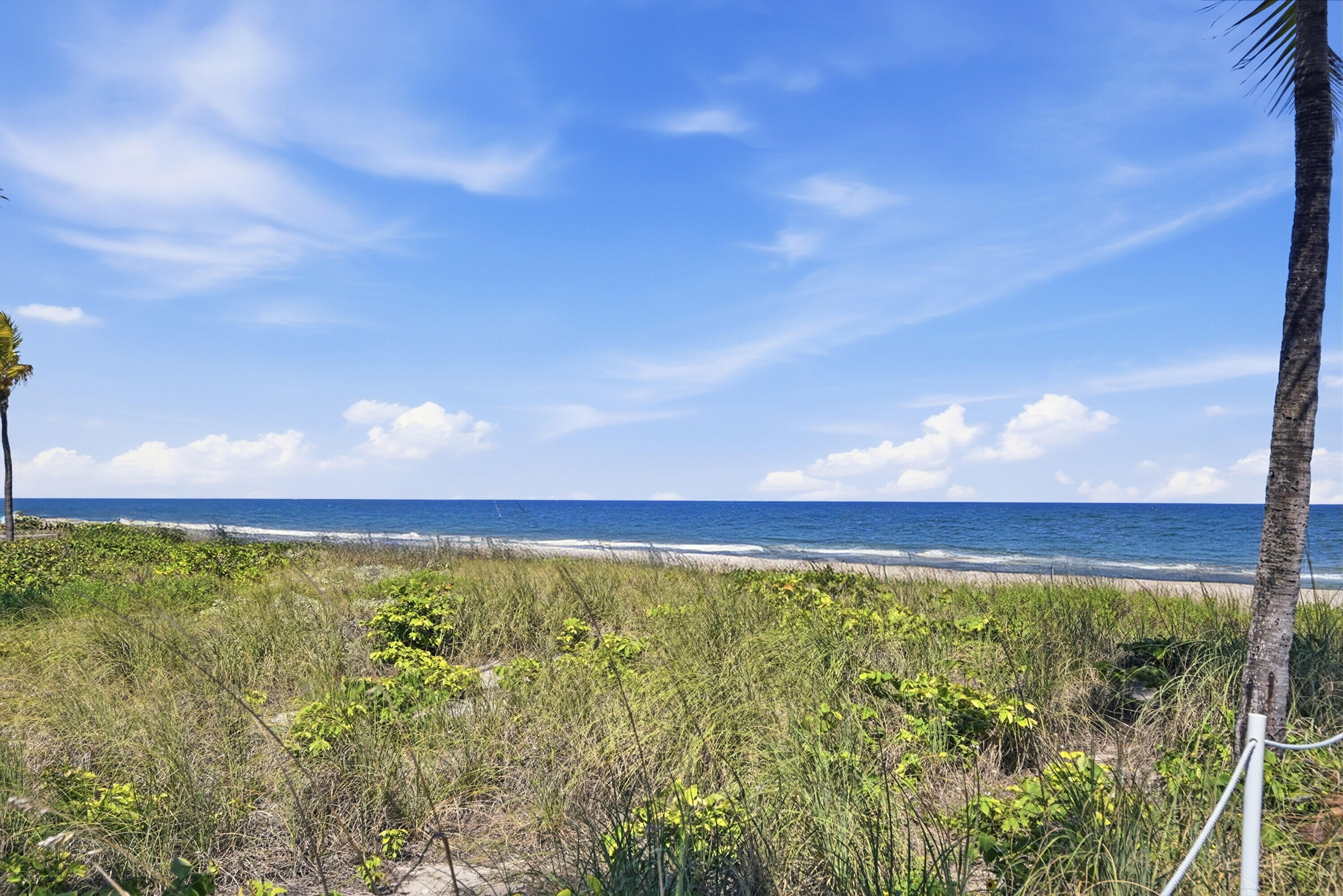 4445 El Mar #2414 Lauderdale By The Sea, FL 33308