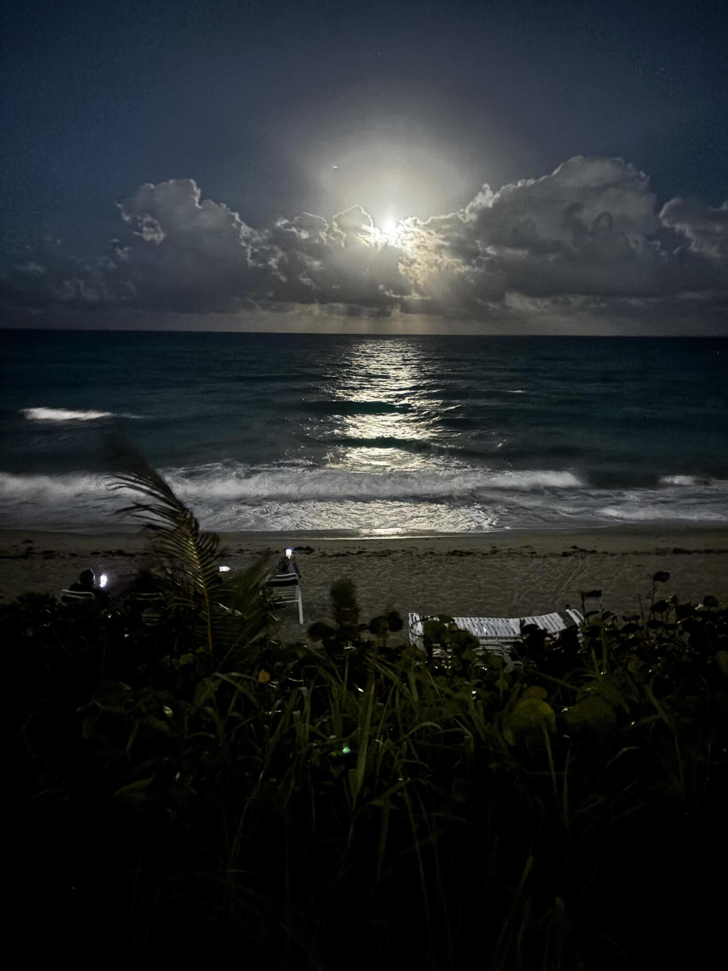 1155 Hillsboro Mile #402 Hillsboro Beach, FL 33062